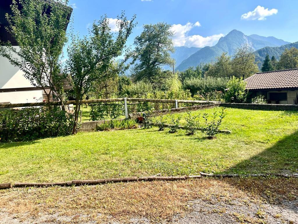Apartament Casa Pura Ampezzo Zewnętrze zdjęcie